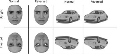 Contrast reversal of the iris and sclera increases the face sensitive N170